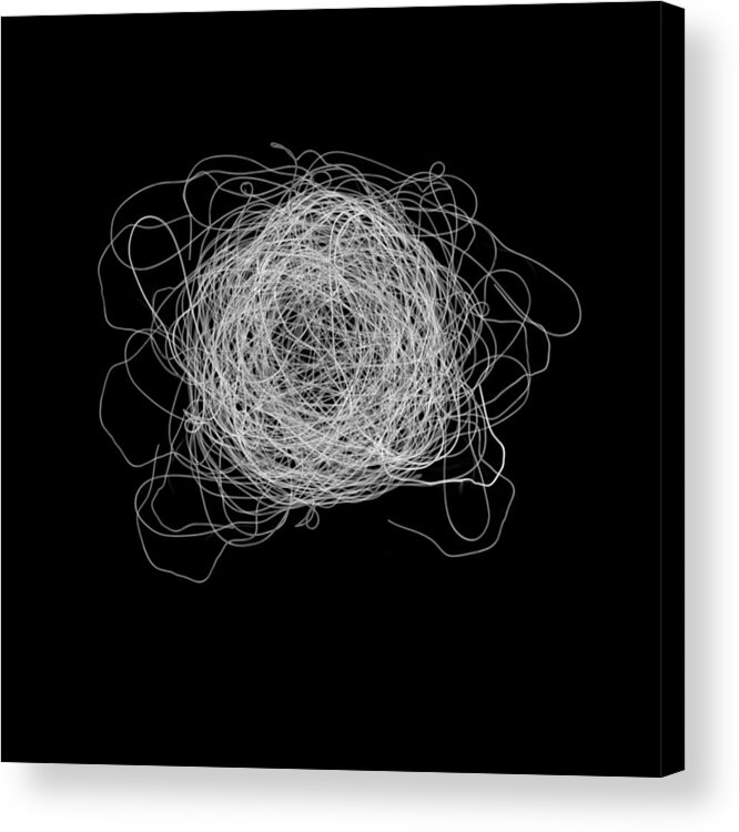 Abstract Photography Acrylic Print featuring the photograph Tangled and Twisted by Scott Norris