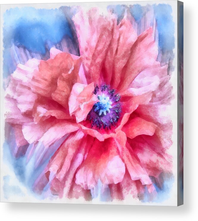 Poppy Acrylic Print featuring the photograph Tenderness by Angelina Tamez