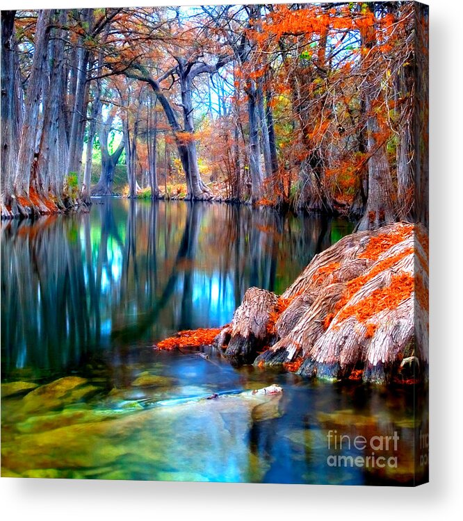 Photography Acrylic Print featuring the photograph That For Which I'm Thankful by Katya Horner