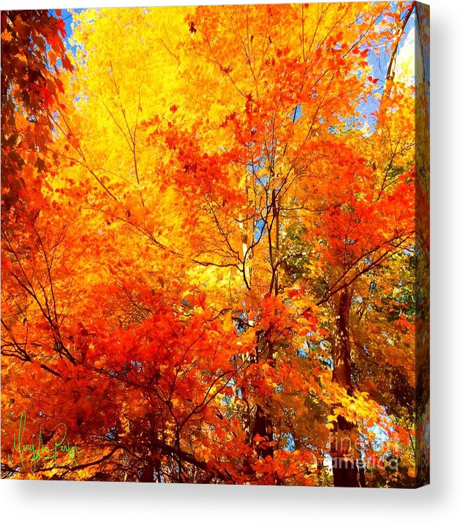 Trees Acrylic Print featuring the painting The Beauty Of Autumn by MaryLee Parker