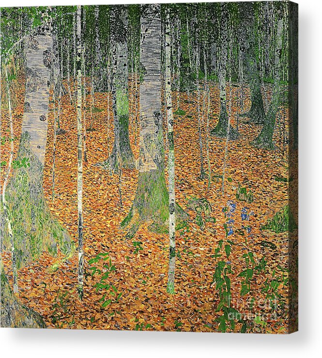 The Acrylic Print featuring the painting The Birch Wood by Gustav Klimt