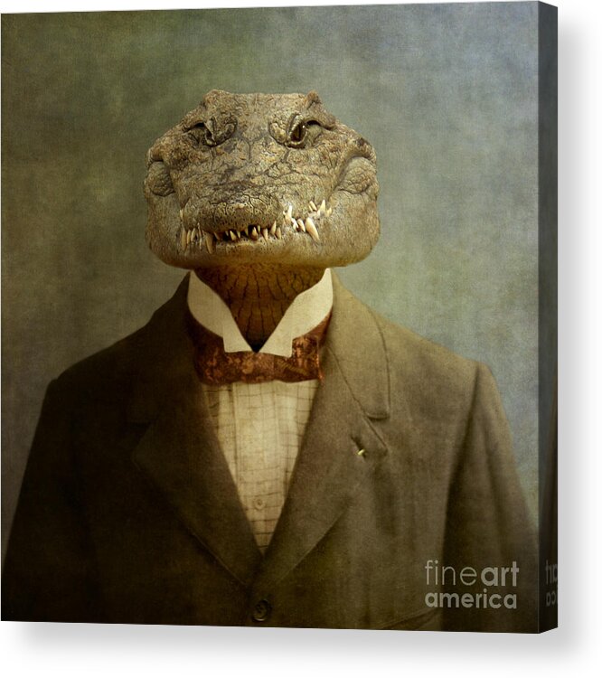 Animal Acrylic Print featuring the photograph The Boss by Martine Roch