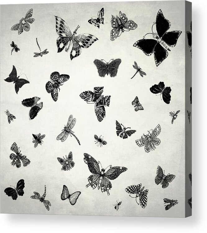 Butterfly Acrylic Print featuring the photograph The Flutter And Fly by Mark Rogan