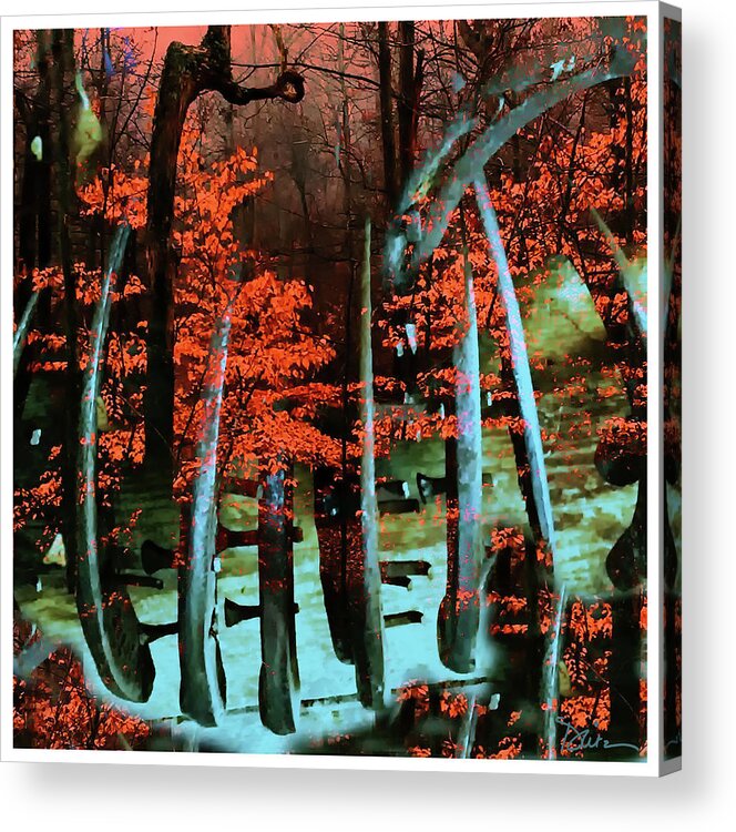 Forest Acrylic Print featuring the photograph The Forest by Peggy Dietz