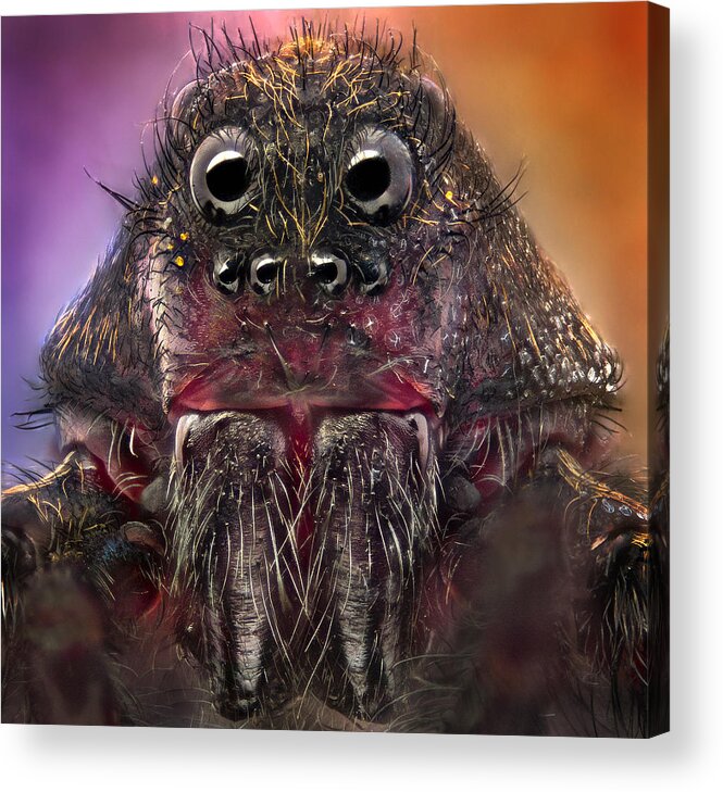Macro Acrylic Print featuring the photograph The Monster by Jorge Fardels