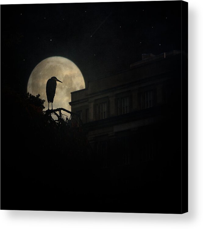 Heron Acrylic Print featuring the photograph The Night Of The Heron by Chris Lord