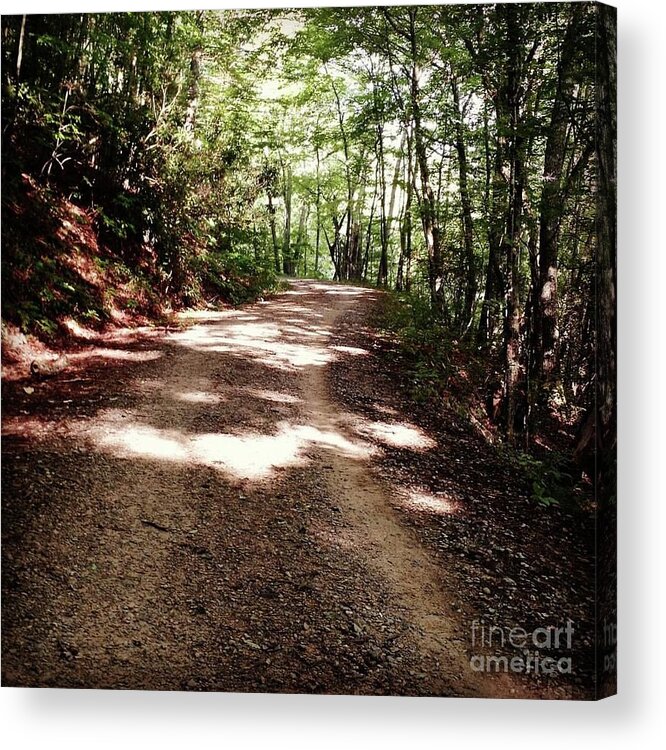 Trail Acrylic Print featuring the photograph The Parkway Trail by Anita Adams