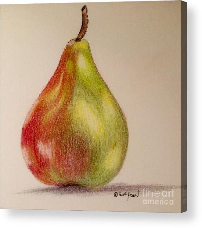 #illustration #apple #fruit #drawing Acrylic Print featuring the drawing The Pear by Eva Ason