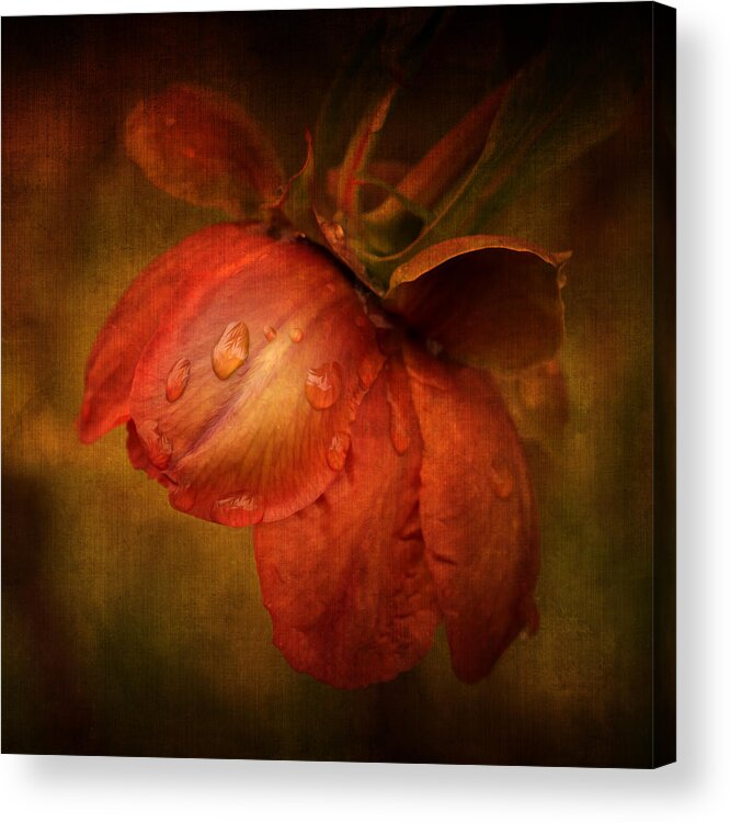Flower Acrylic Print featuring the photograph There she goes by Philippe Sainte-Laudy