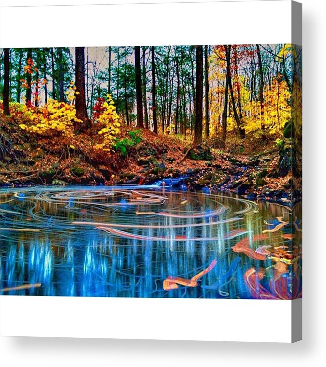 Dutchesscounty Acrylic Print featuring the photograph Leaves Swirling Around a Woodland Pond by Blake Butler