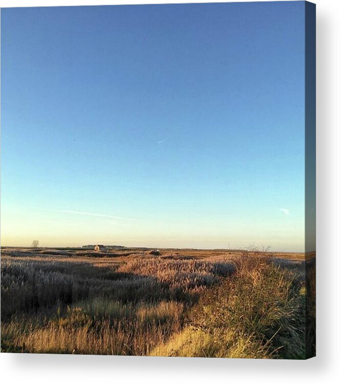 Natureonly Acrylic Print featuring the photograph Thornham Marsh Lit By The Setting Sun by John Edwards