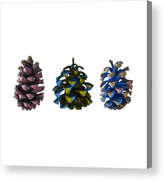 Pine Cones Pine Acrylic Print featuring the photograph Three Pine Cones by Stan Magnan