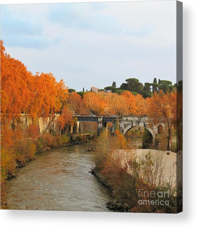 Rome Acrylic Print featuring the photograph Tiber River in Autumn 2 by Laurie Morgan