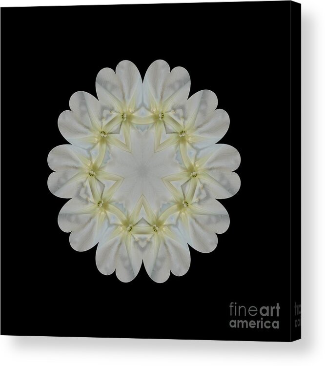 Kaleidoscope Acrylic Print featuring the photograph Tie a Yellow Ribbon by Elaine Teague