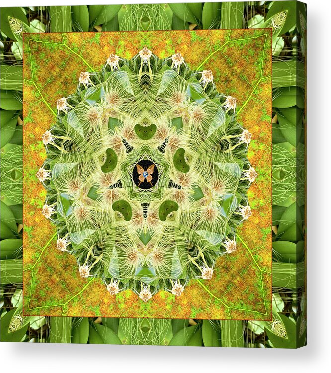 Yoga Art Acrylic Print featuring the photograph Time Lines by Bell And Todd