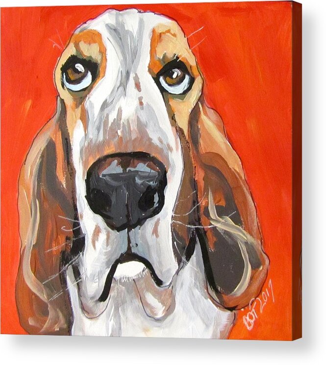 Dog Acrylic Print featuring the painting Toby by Barbara O'Toole