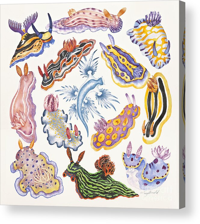 Sea Slugs Acrylic Print featuring the painting Toxic Tango I Sea Slugs by Lucy Arnold