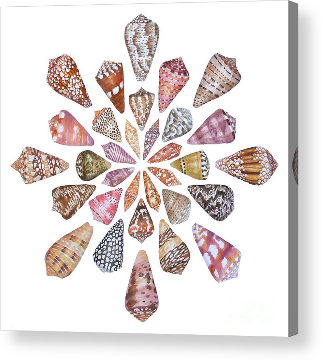 Cone Shells Acrylic Print featuring the painting Toxic Tango III Cone Shells by Lucy Arnold