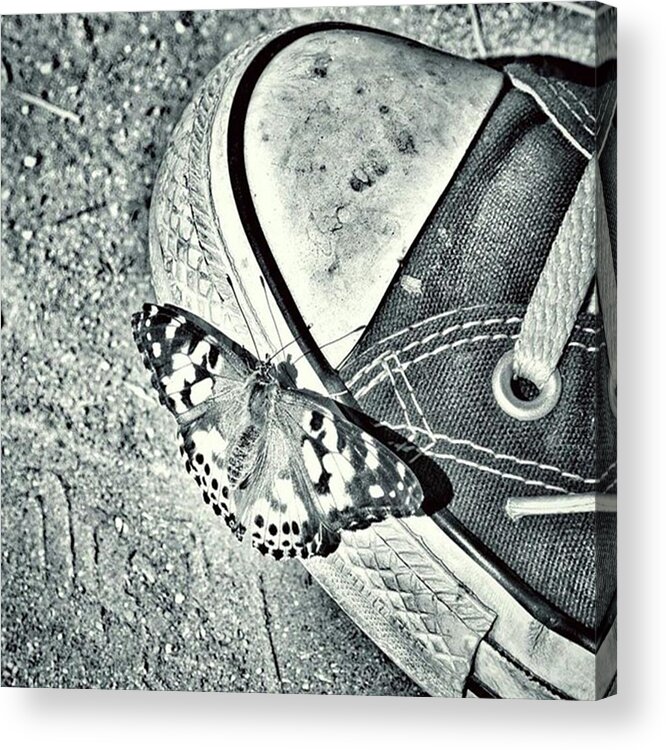 Butterfly Acrylic Print featuring the photograph Tread Lightly #2 by Leah McPhail