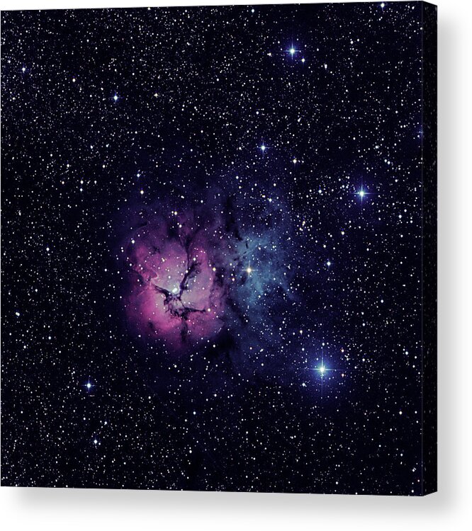 Trifid Acrylic Print featuring the photograph Trifid Nebula M20 by Nigel R Bell