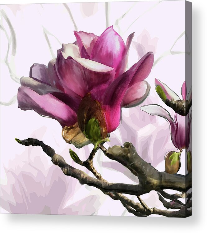 Saucer Magnolia Acrylic Print featuring the digital art Tulip Trees by Gina Harrison