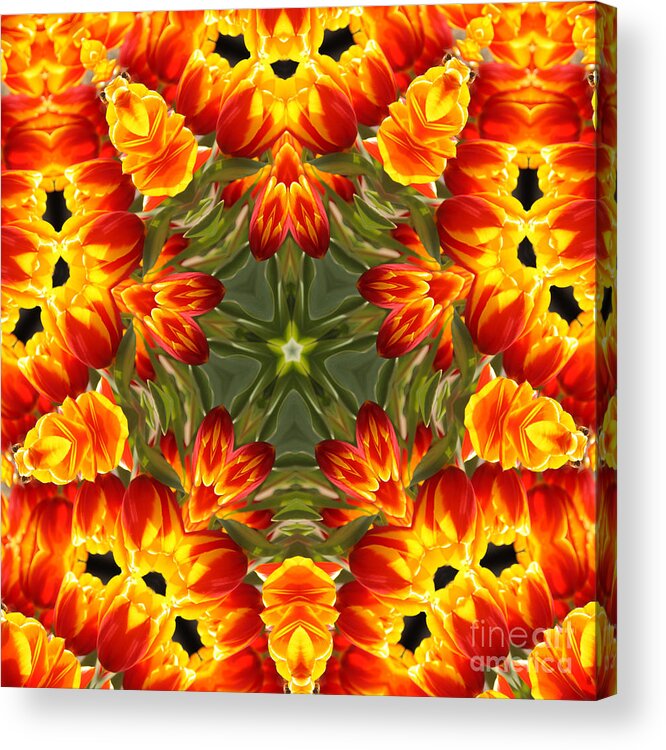 Kaleidoscope Acrylic Print featuring the photograph Tulips by Elaine Teague