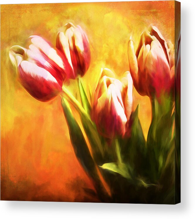 Tulips Acrylic Print featuring the photograph Tulips no 7 by James Bethanis