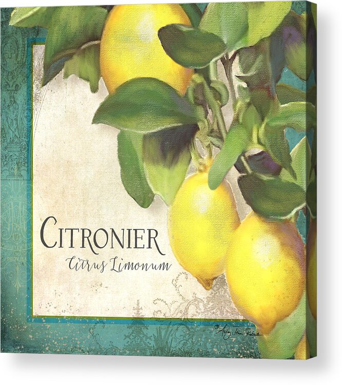 Lemon Acrylic Print featuring the painting Tuscan Lemon Tree - Citronier Citrus Limonum Vintage Style by Audrey Jeanne Roberts