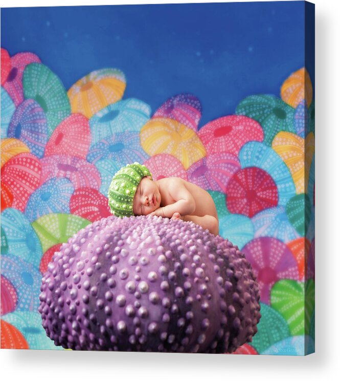 Under The Sea Acrylic Print featuring the photograph Vince as a Sea Urchin by Anne Geddes