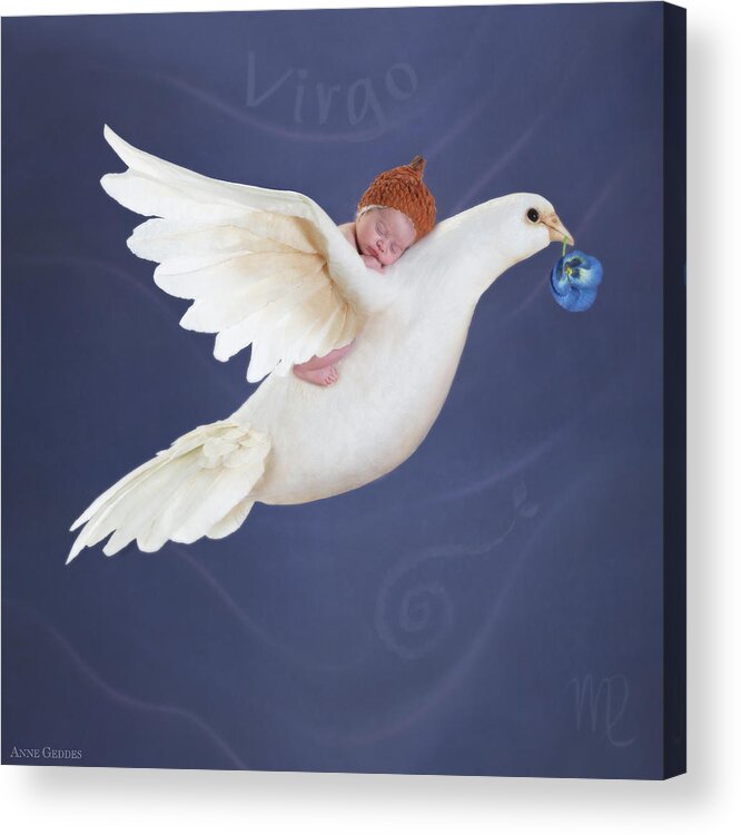 Zodiac Acrylic Print featuring the photograph Virgo by Anne Geddes