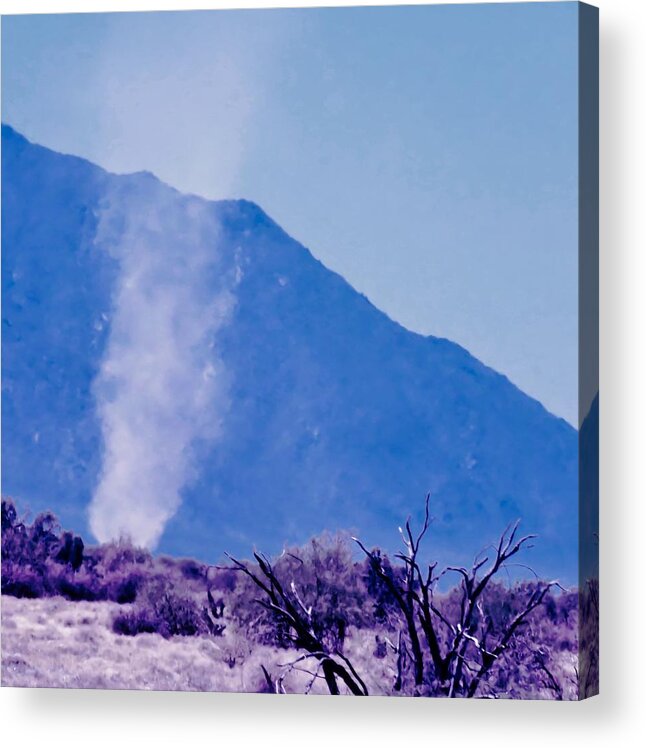 Arizona Acrylic Print featuring the photograph Visitor by Judy Kennedy