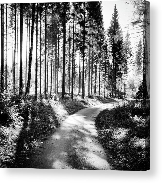 Lightanddark Acrylic Print featuring the photograph Walk The Path by Aleck Cartwright