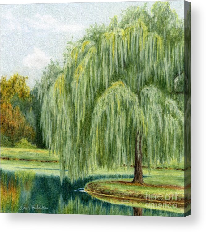 Under The Willow Tree Acrylic Print