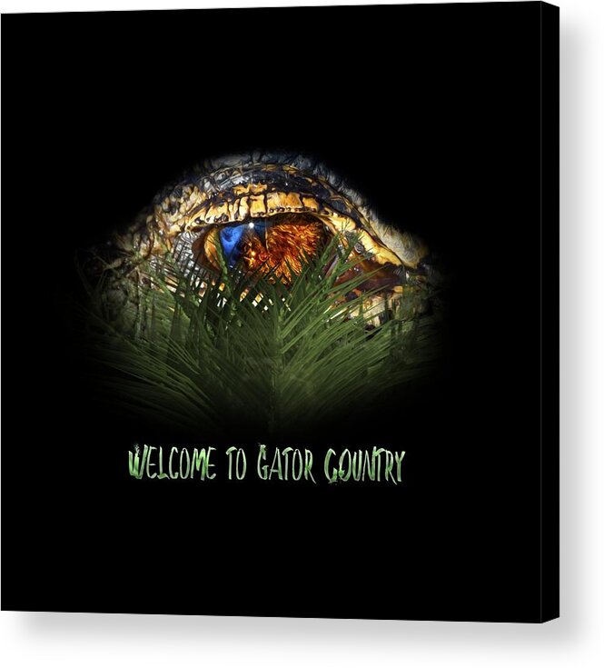 Alligator Acrylic Print featuring the photograph Welcome to Gator Country Design by Mark Andrew Thomas