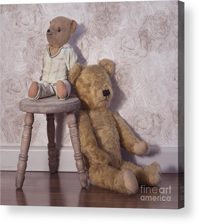 Teddy Acrylic Print featuring the photograph Well Loved by Linda Lees