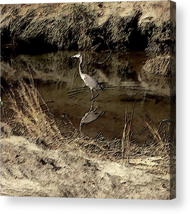  Acrylic Print featuring the photograph Wetlands by Mark Alesse