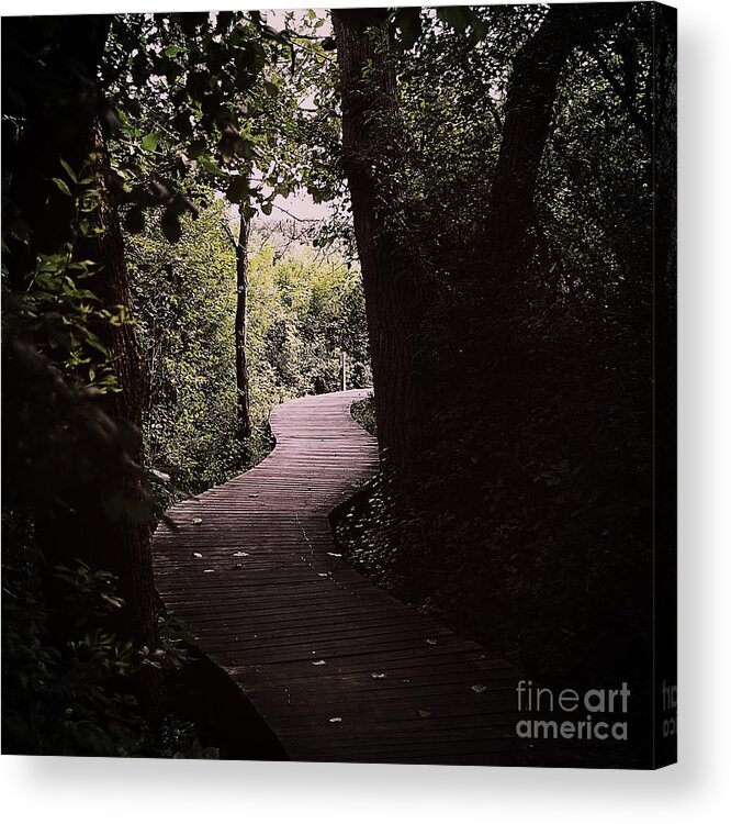 Nature Acrylic Print featuring the photograph Wetlands Trail - Color by Frank J Casella