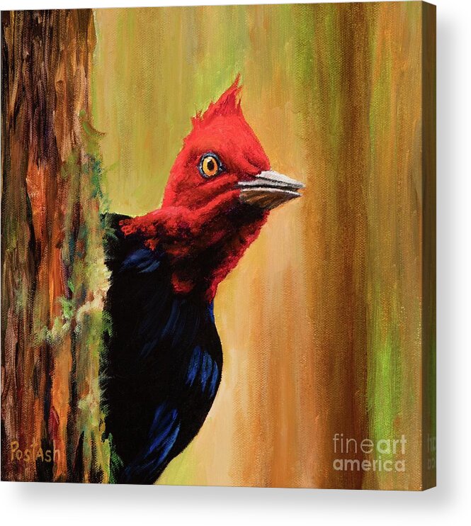 Nature Acrylic Print featuring the painting Whats Up? by Igor Postash