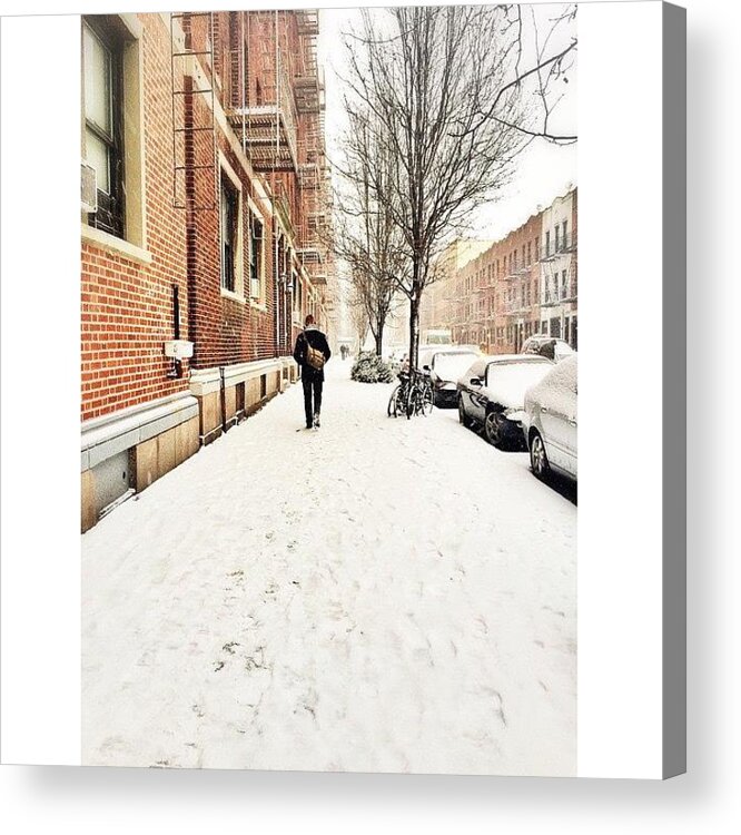 Ig_nycity Acrylic Print featuring the photograph When Snow Falls, Nature Listens by Monica Zorrilla