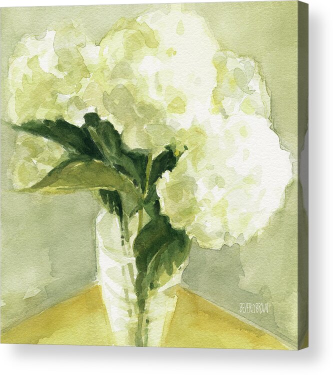 Floral Acrylic Print featuring the painting White Hydrangeas Morning Light by Beverly Brown