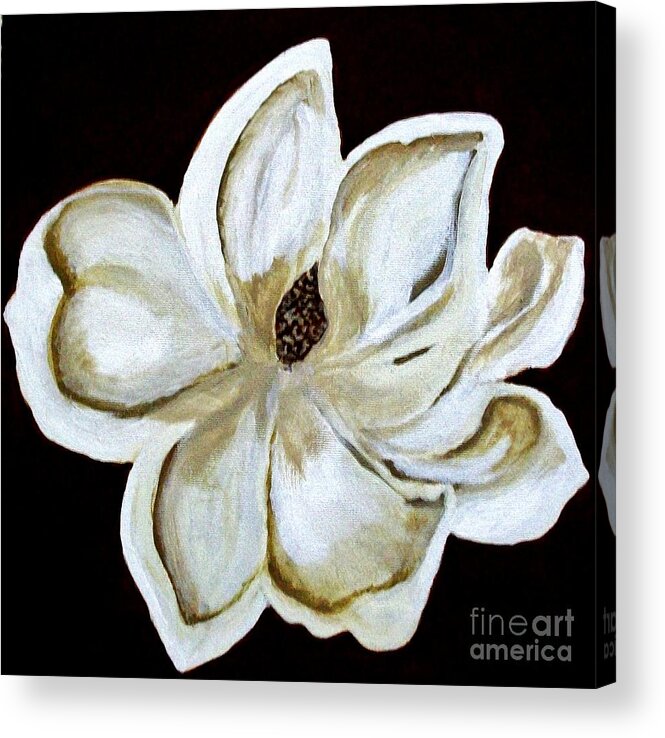 Painting Acrylic Print featuring the painting White Magnolia On Black by Marsha Heiken