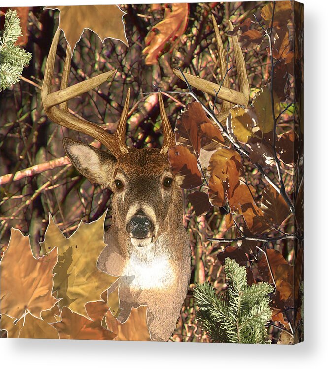 Camo Acrylic Print featuring the digital art White Tail Deer Buck Fall Camo by Garaga Designs