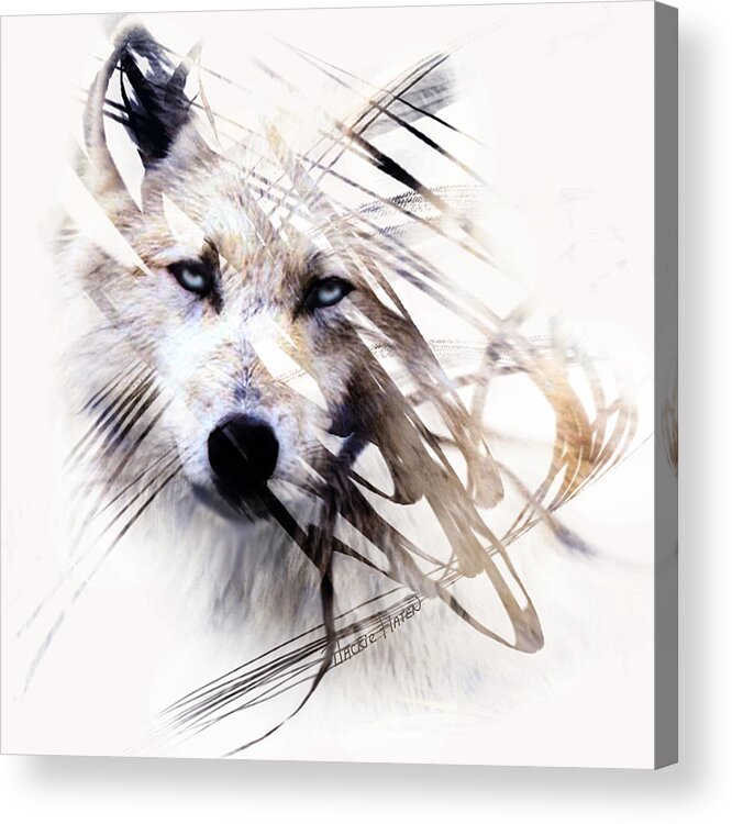 Canvas Prints Acrylic Print featuring the painting White Wolf by Jackie Flaten