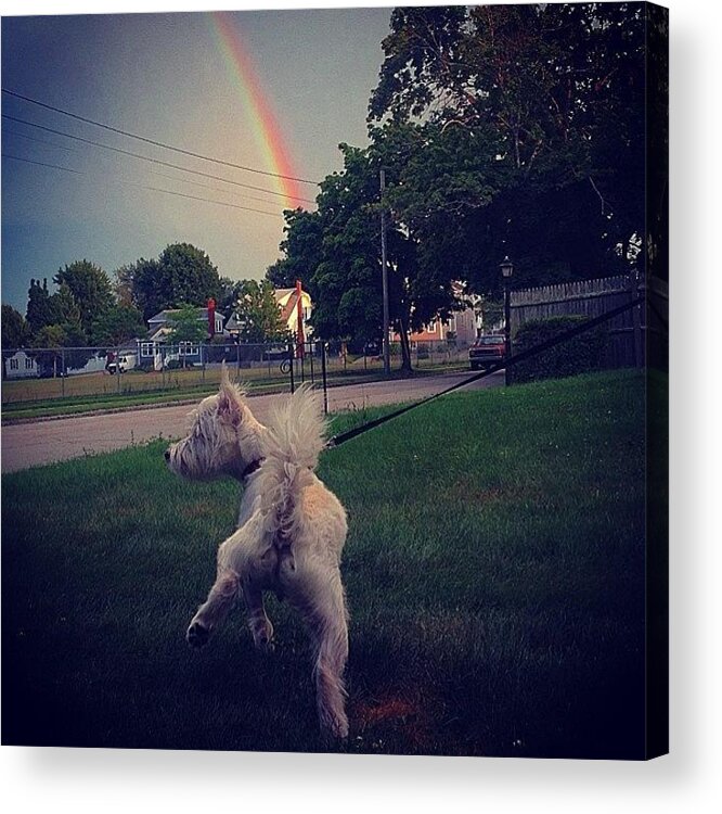 Rainbow Acrylic Print featuring the photograph Gold At The End Of The Rainbow by Kate Arsenault 
