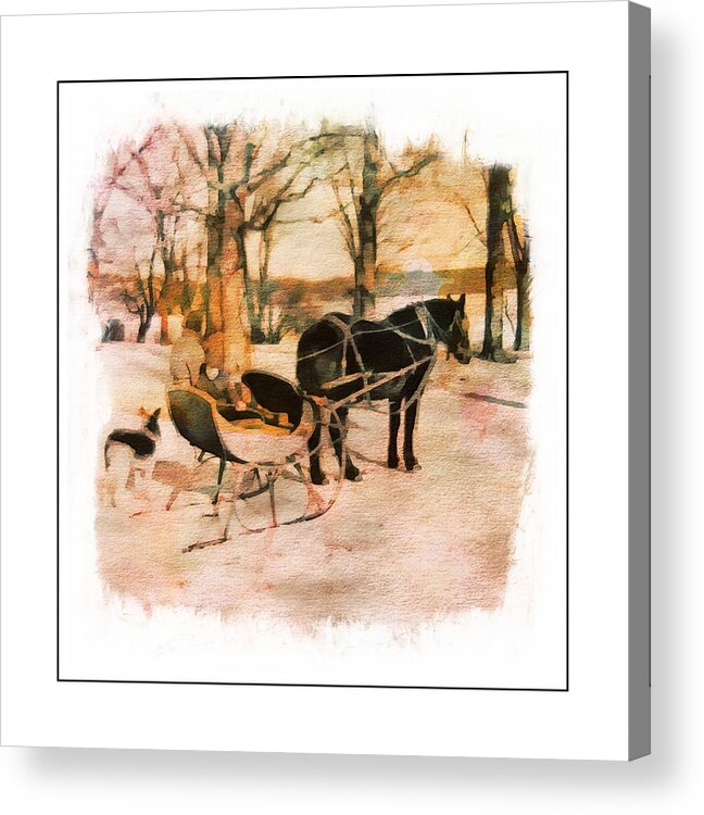 Horse Acrylic Print featuring the photograph Winter Horse Sled by Russ Considine