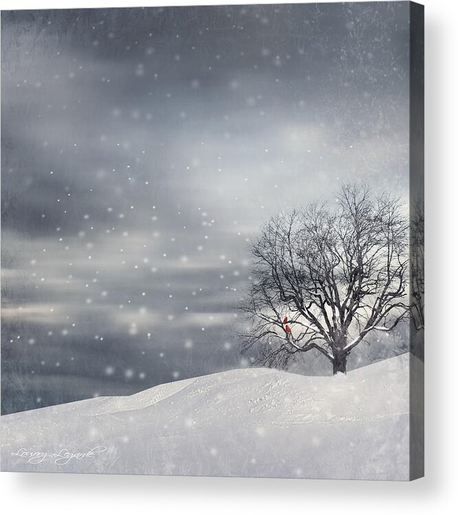 Four Seasons Acrylic Print featuring the photograph Winter by Lourry Legarde