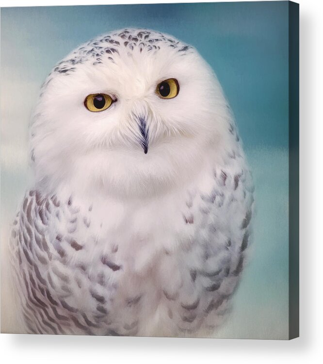 Wisest Of All Acrylic Print featuring the photograph Wisest Of All - Owl Art by Jordan Blackstone