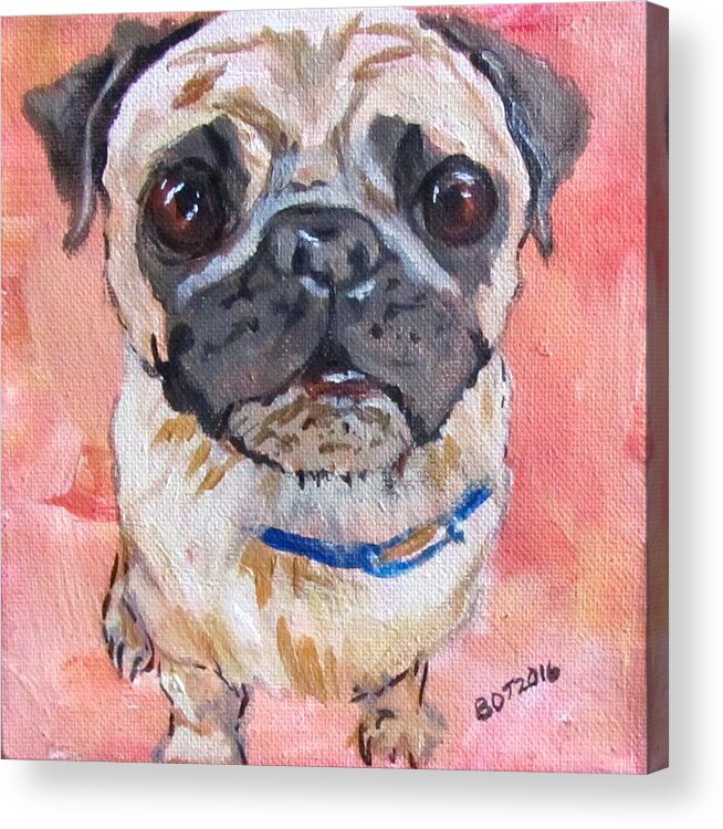 Pug Acrylic Print featuring the painting Worried by Barbara O'Toole