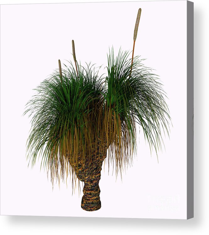 3d Illustration Acrylic Print featuring the painting Xanthorrhoea australis Tree by Corey Ford
