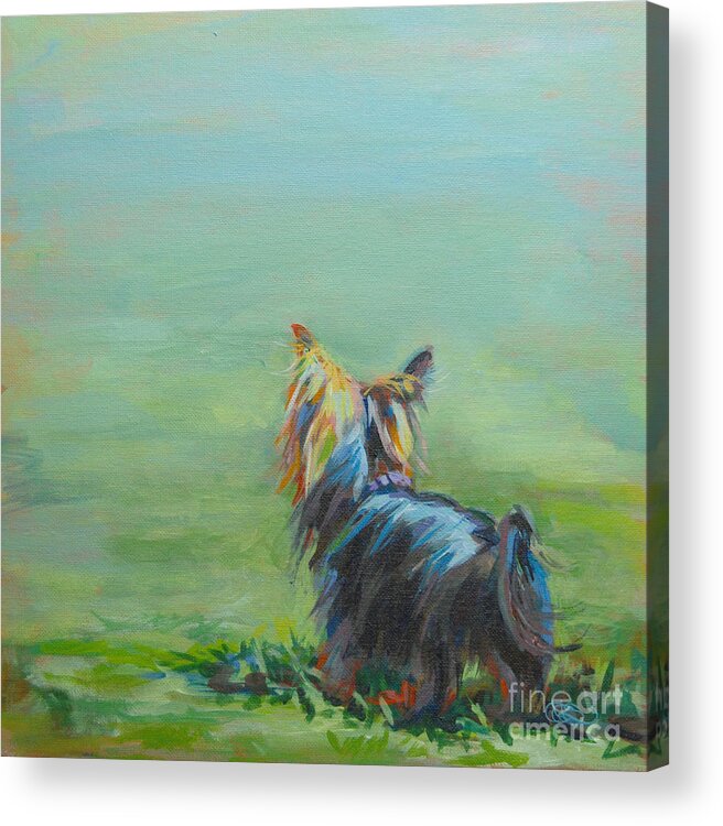 Yorkshire Terrier Acrylic Print featuring the painting Yorkie in the Grass by Kimberly Santini